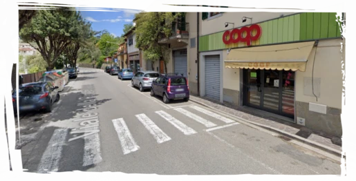 Coop